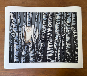 OWL IN BIRCH TREES